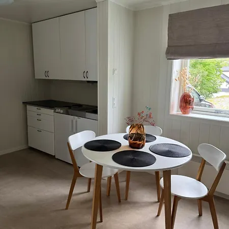 Sentrumsnaer Apartment *