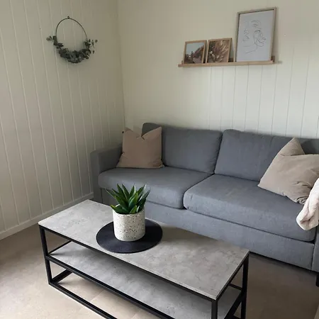 Midt I Sentrum